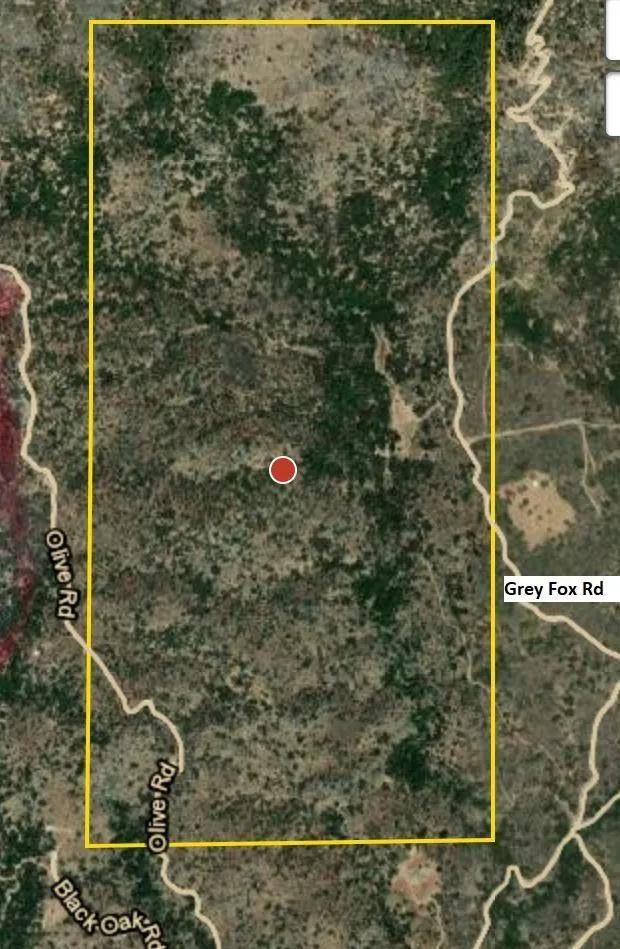 320.00 Acres at 0000 Michael Rd