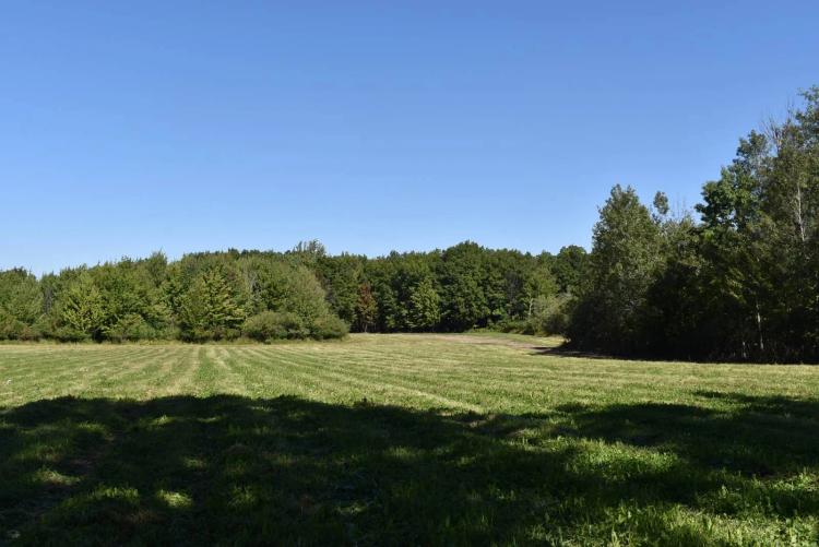 Great Hunting Property with trails.