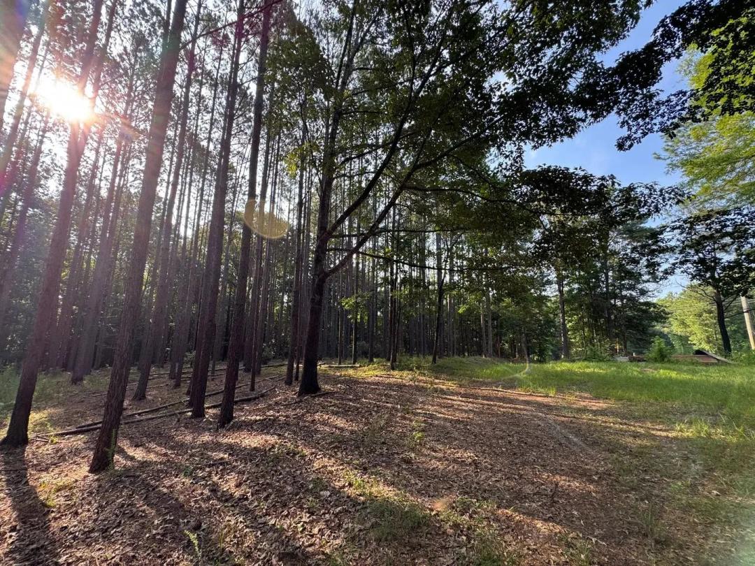 174 +/- Hunting and Recreational Tract, Camp Hill , Lee County, AL