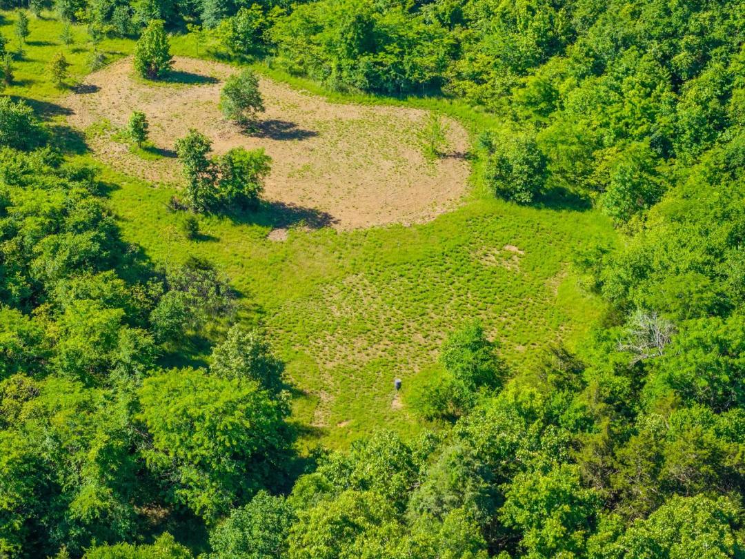 FAULKNER COUNTY HUNTING & RECREATIONAL LAND AUCTION - CONWAY, AR