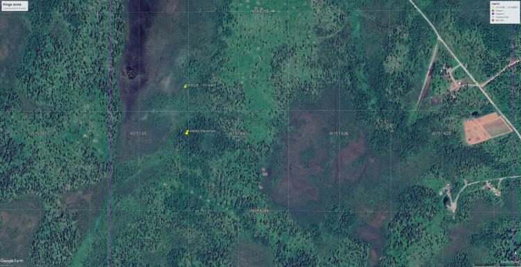 Remote Secluded Alaskan land Kenai Peninsula - 2 Treed Adjoining Parcels