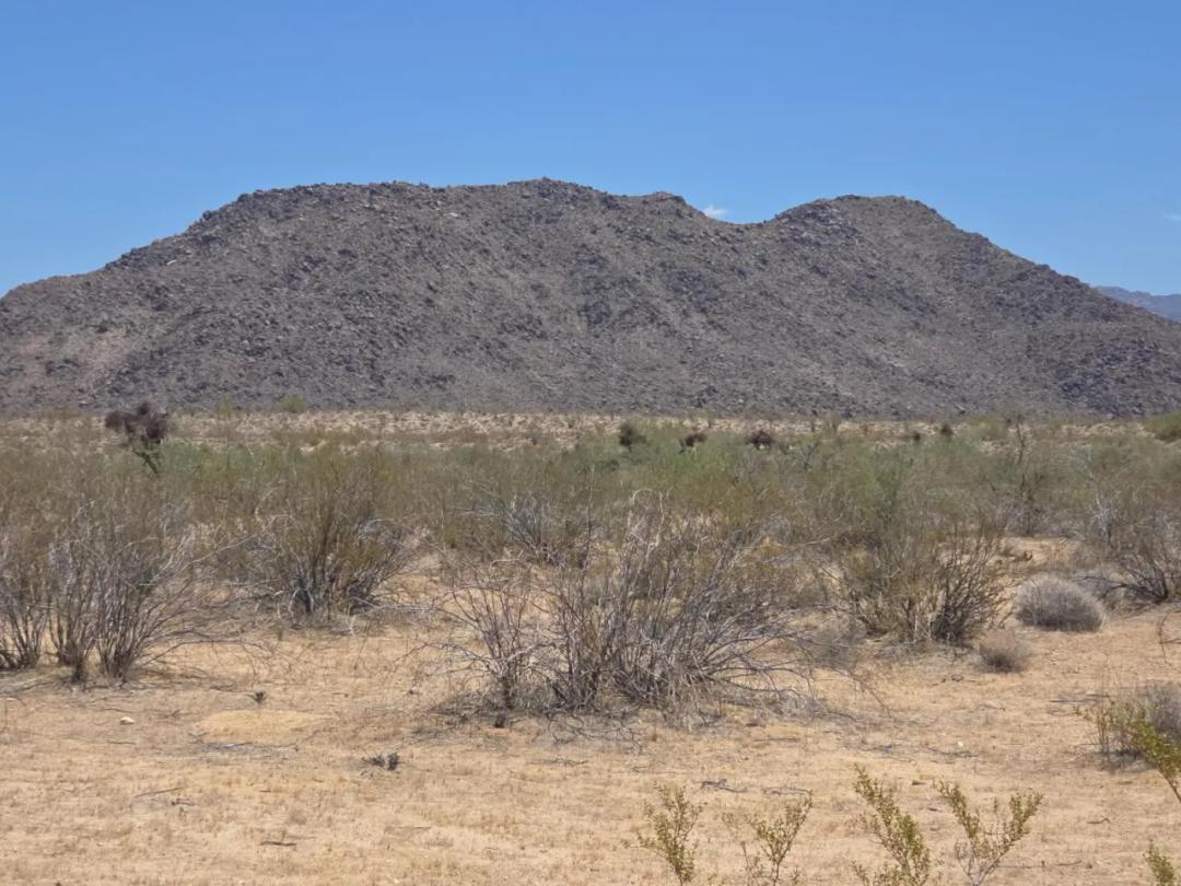 Classic Arizona Desert - Dry Wash - Camp RV Build Mobiles allowed