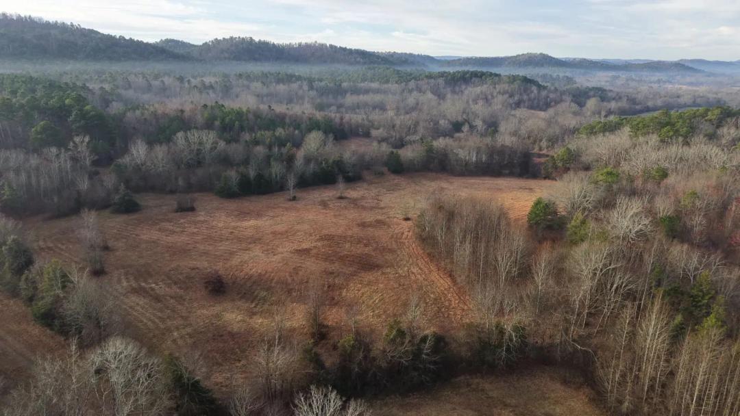 12.93 Acres [Tract 4] in Montgomery County, AR