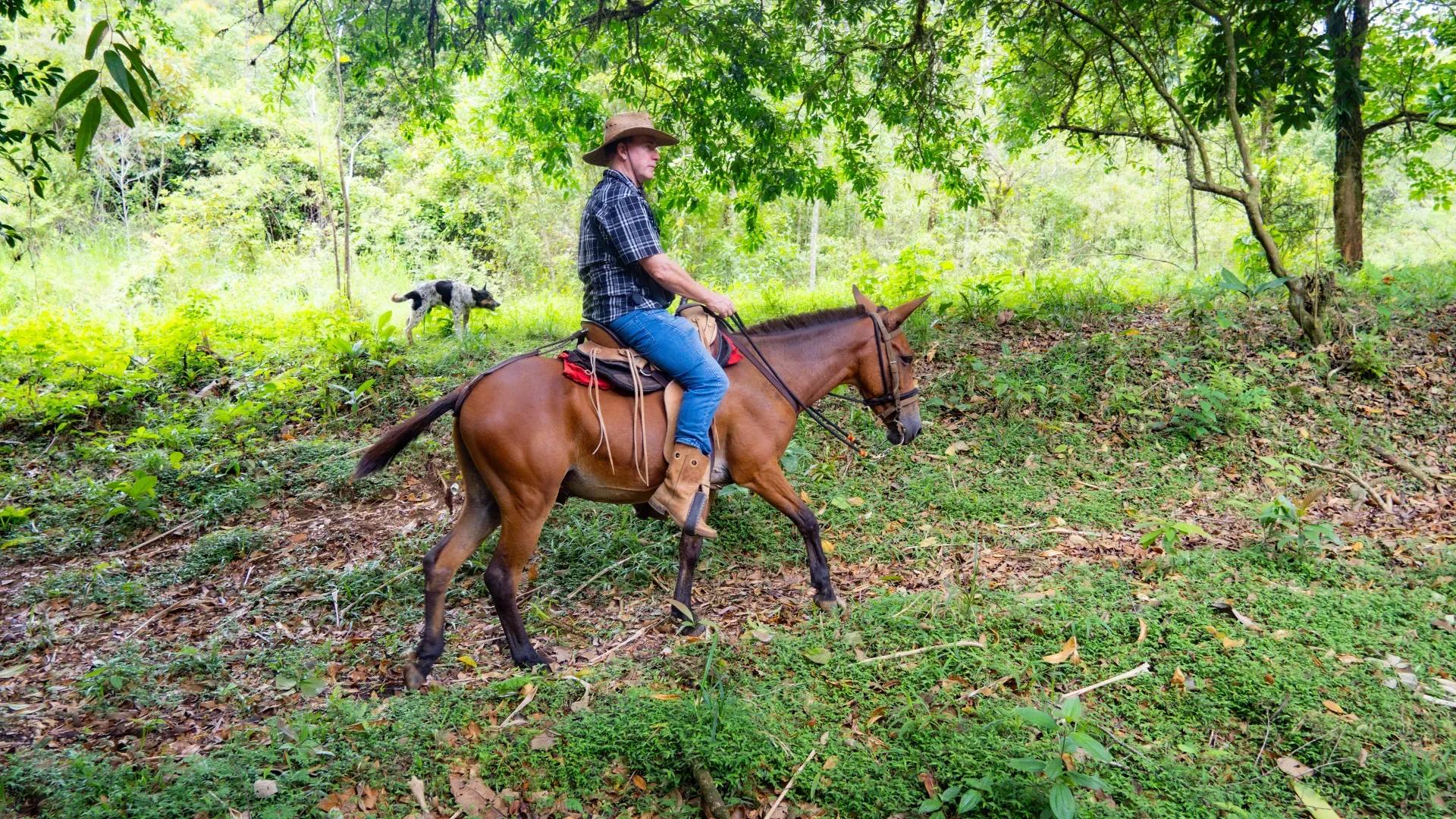 Cowboys Hacienda Los Gauchos Alajuela