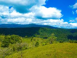 DJI_0001