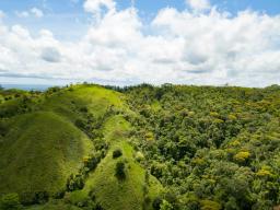 DJI_0021