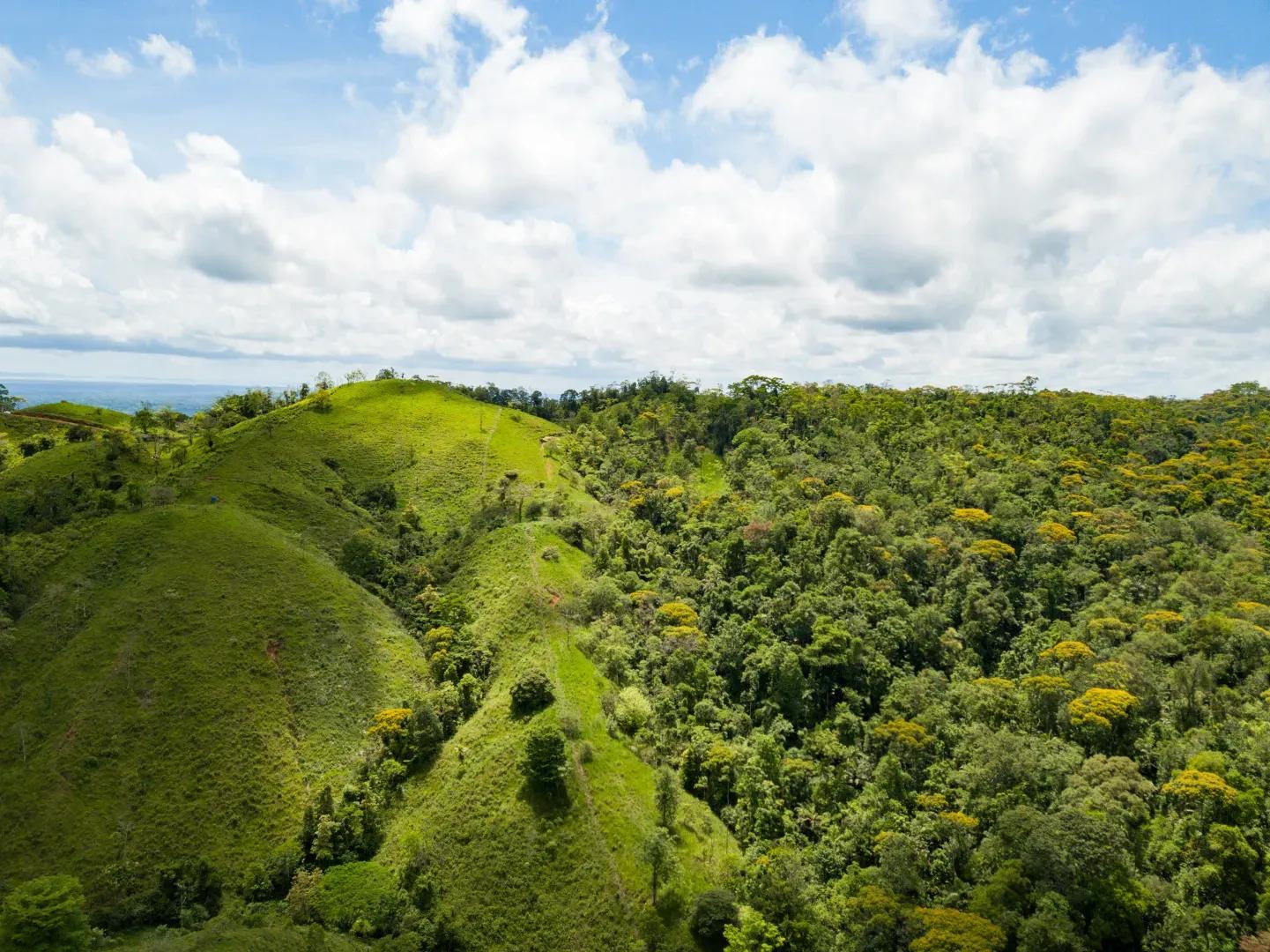 DJI_0021