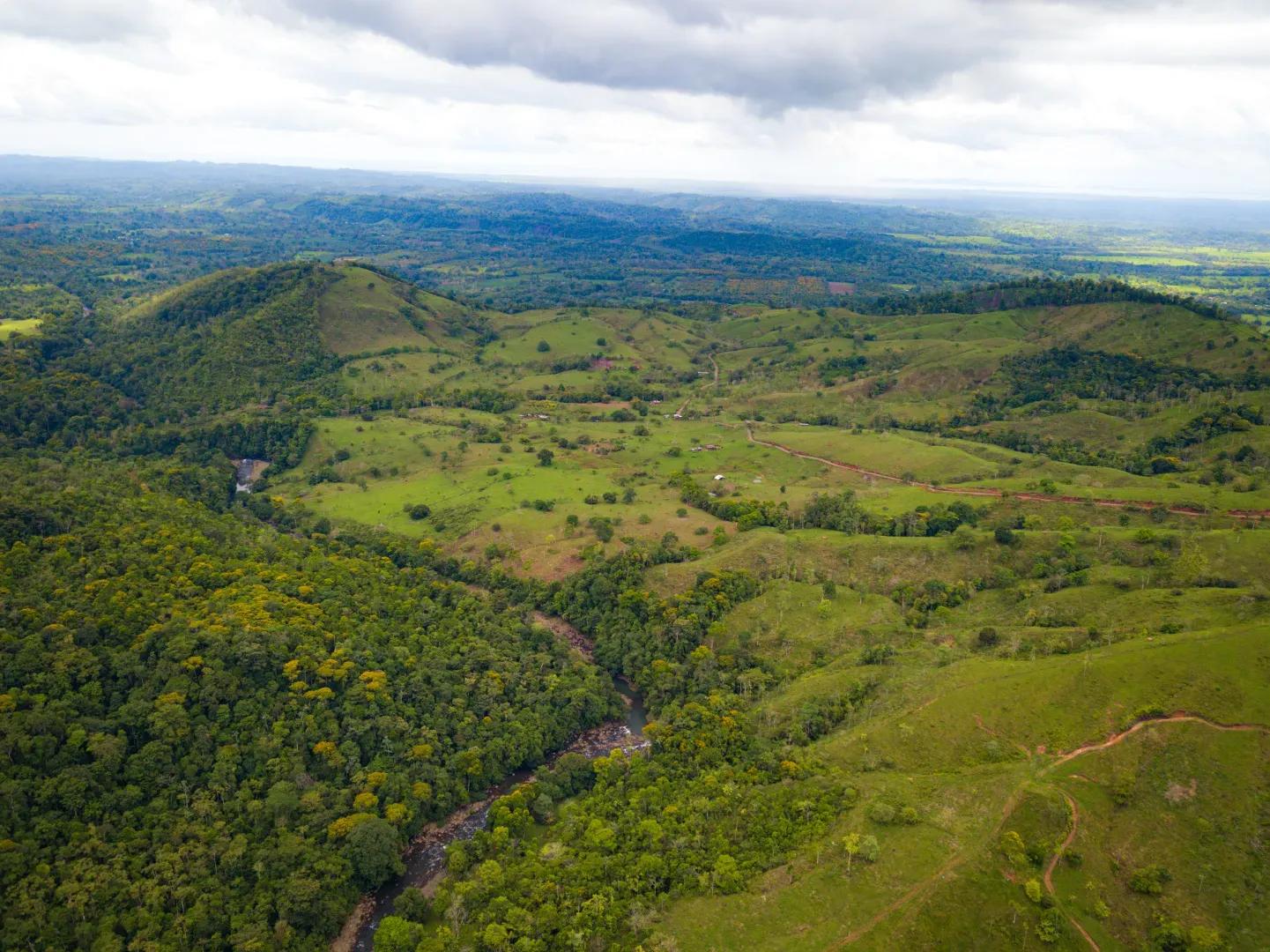DJI_0082