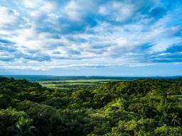 DJI_0225
