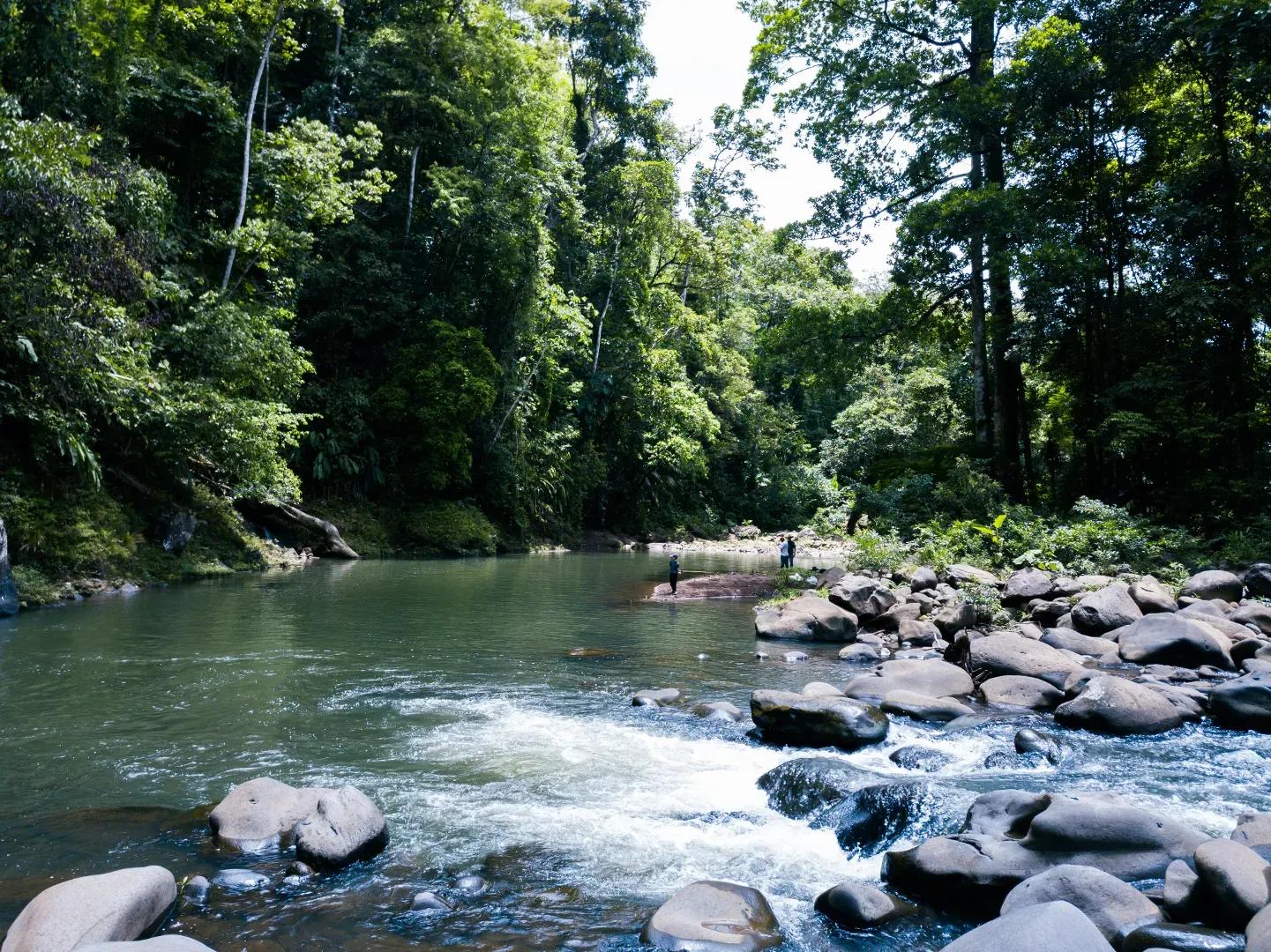 Fishing Costa Rica Hacienda Los Gauchos