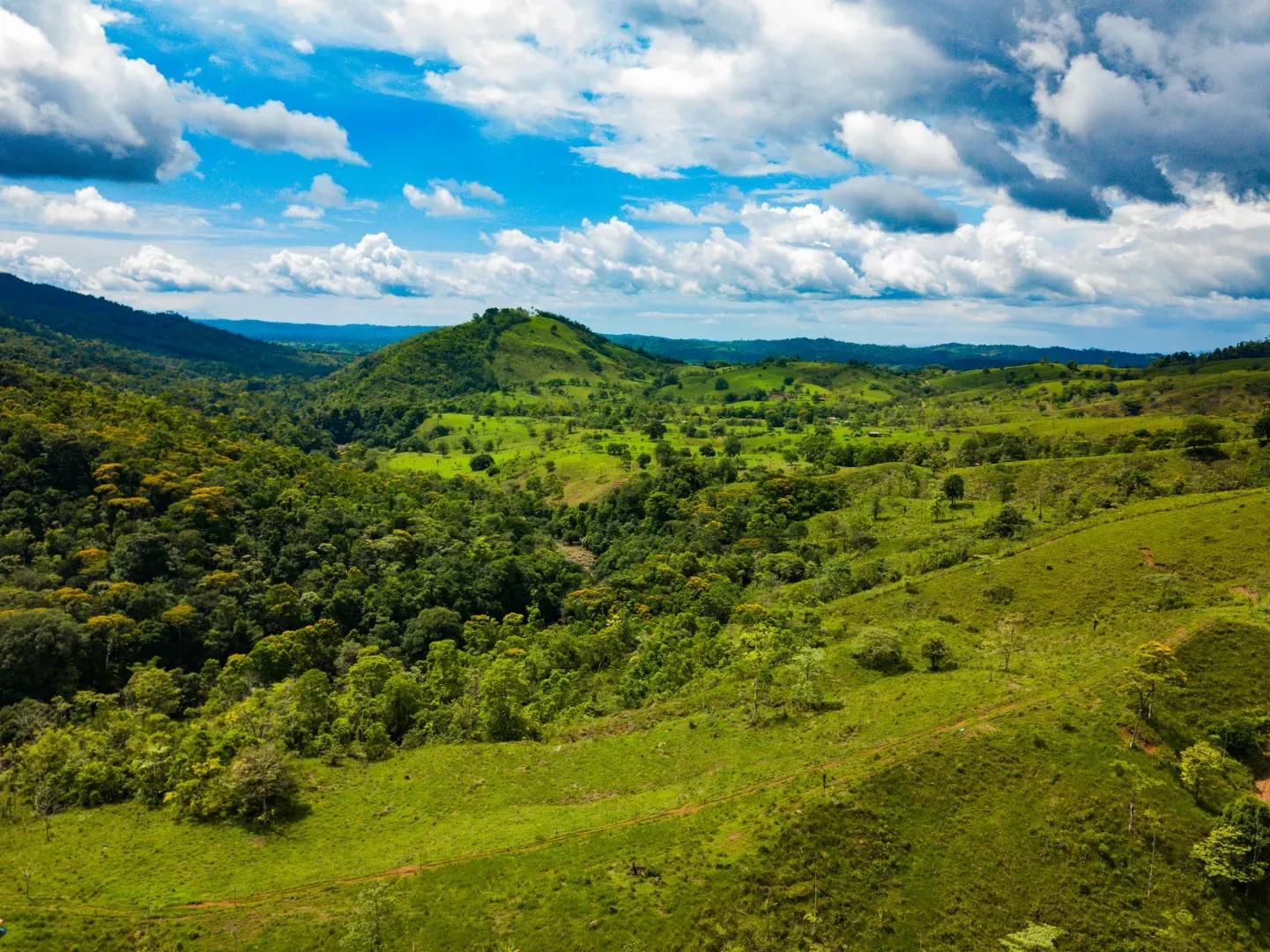 Grazing Costa Rica Hacienda Los Gauchos
