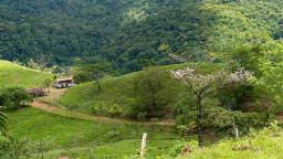 Home Costa Rica Hacienda Los Gauchos
