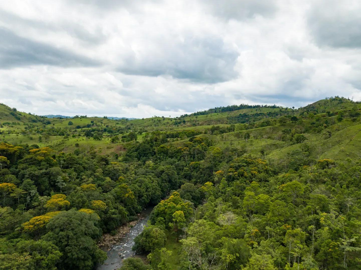 Rain Forrest Costa Rica Hacienda Los Gauchos