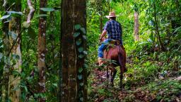 Trail Rides Costa Rica Hacienda Los Gauchos