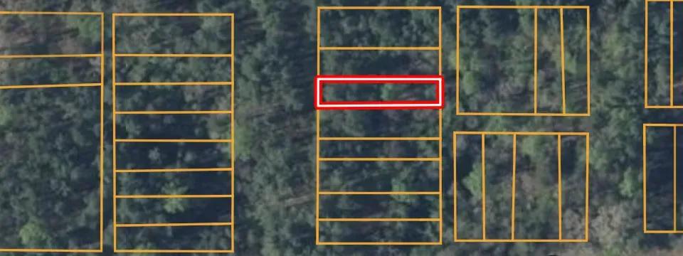 0.09 Acres with Owner Financing and $495 down in Lunenburg County Virginia!