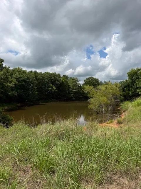 4.98-Acre Hilltop Retreat with POND and Mature Trees