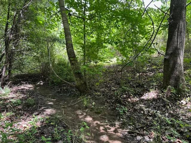 Lot 160 Big Piney Loop