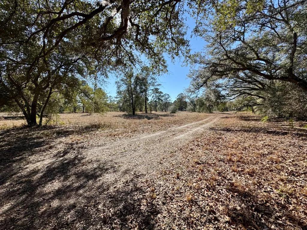 Gillisonville Jasper 10 AC Langfordville Rd.