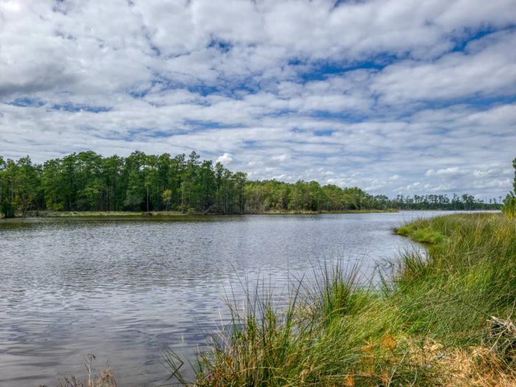Waterfront lot with acreage just off ICW!