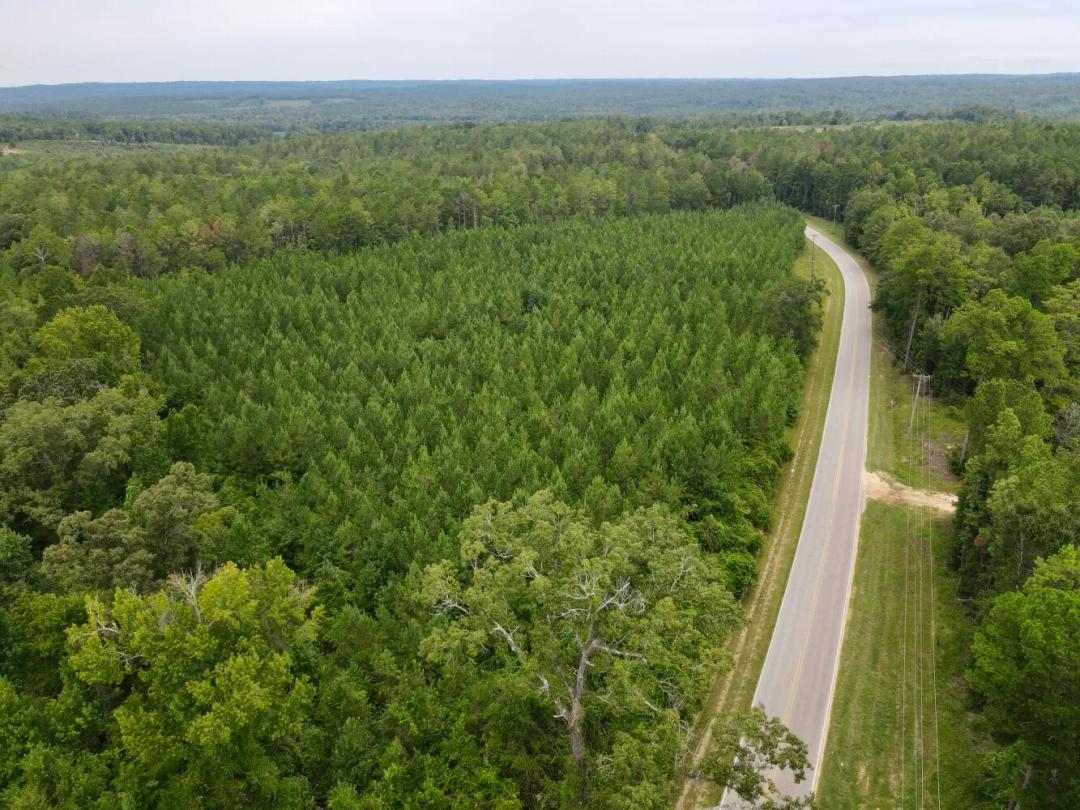 3.00 Acres at 0 Walker Springs Road, Tract A