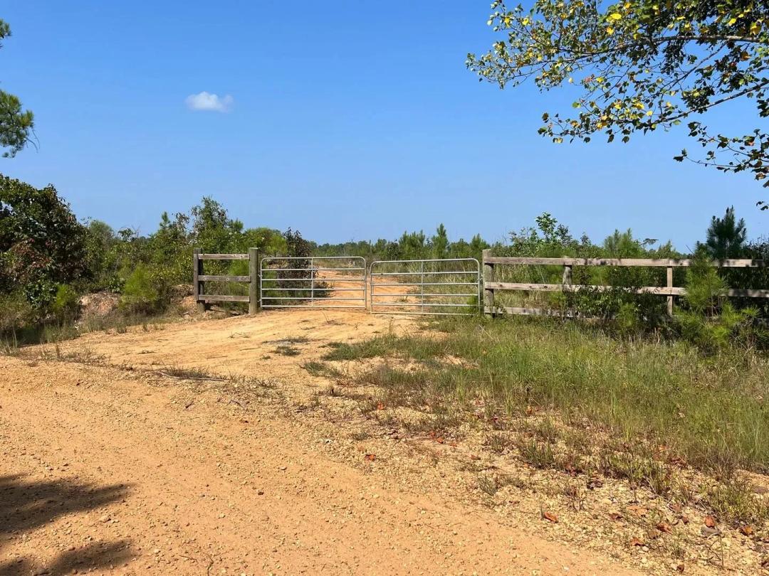 120 +/- acres Fayette County, AL