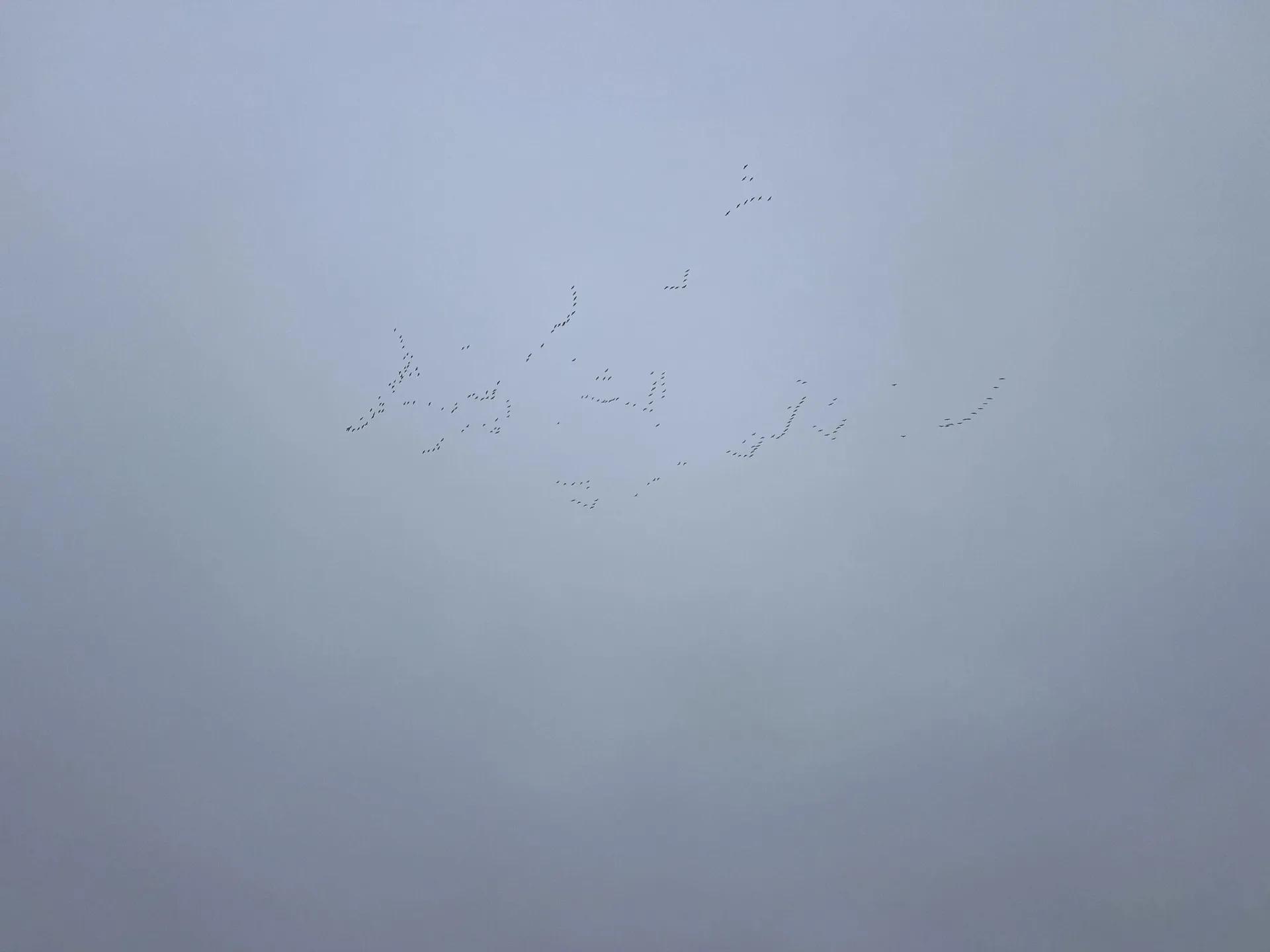 28159039-22