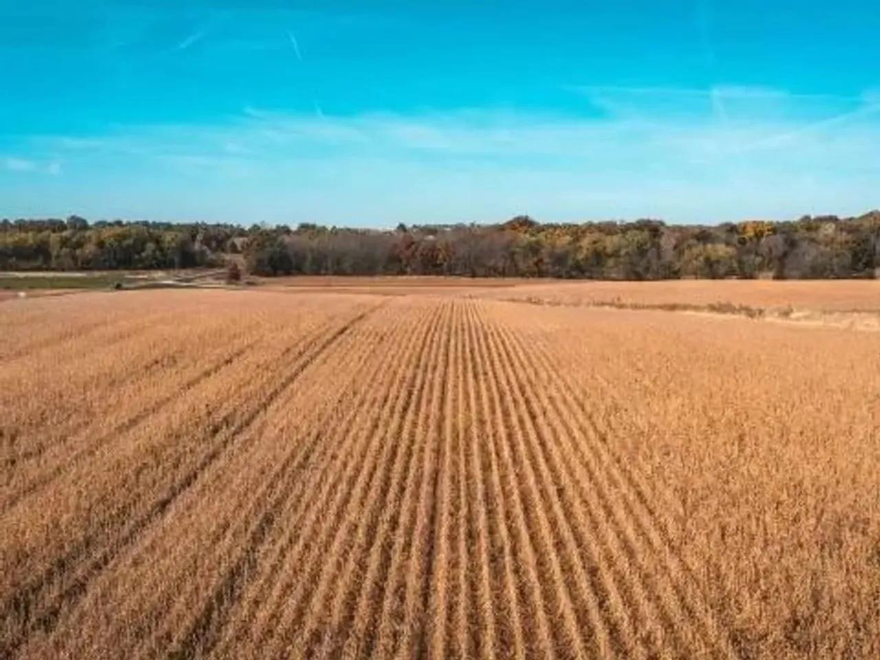 28187648-2