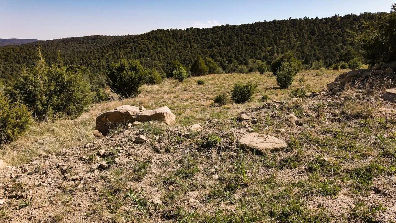 28204454-7