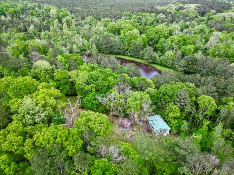 183 Acres and Camp for Sale with Lake, Timber Amite Co., MS