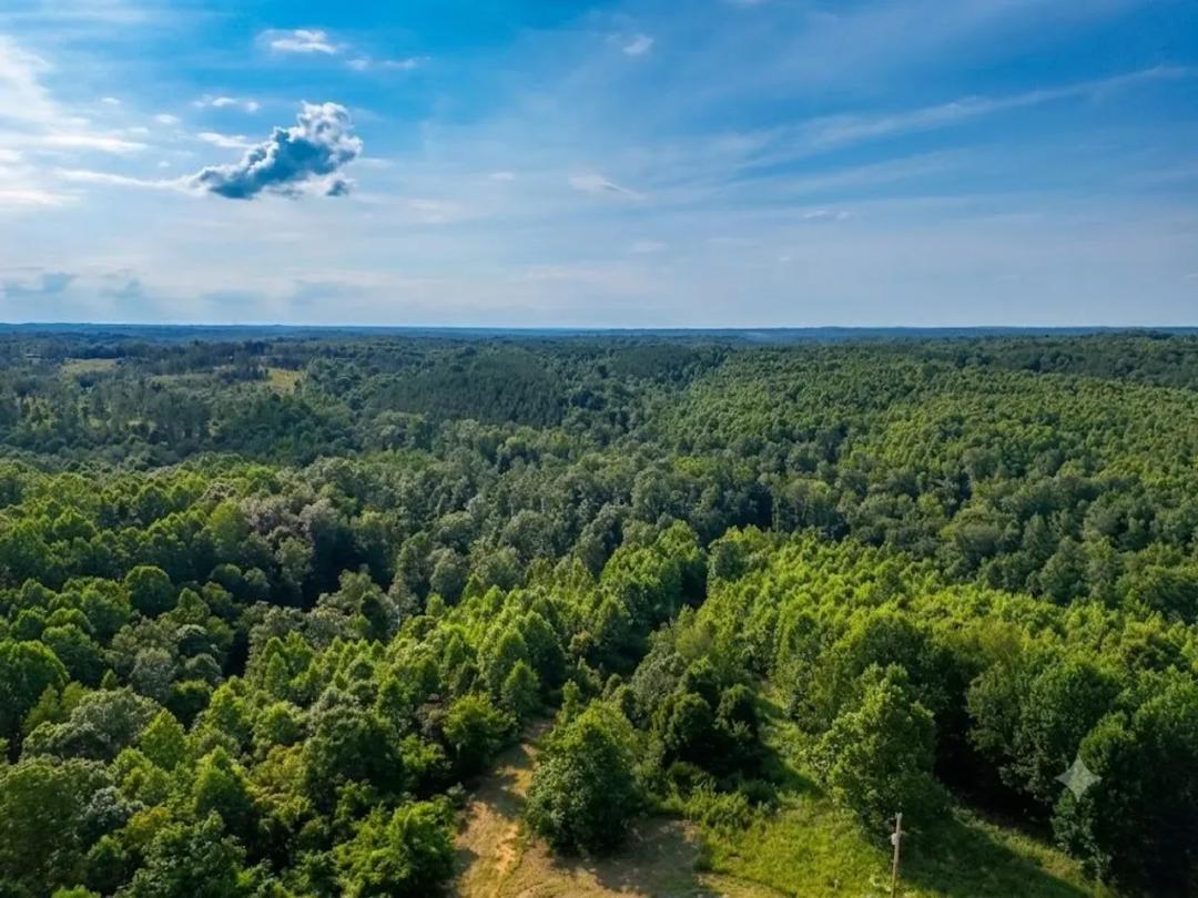 12.65 Acres Close to Lake Barkley in Stewart County, TN