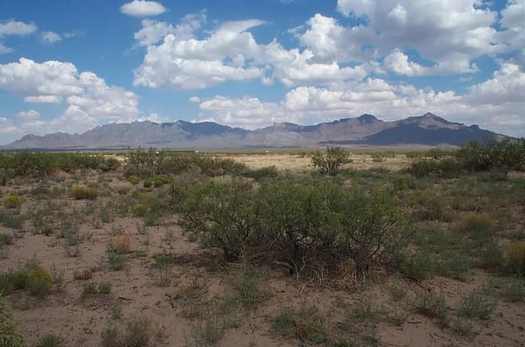 Incredibly low priced 1/2 acre Southern New Mexico with Mountain views