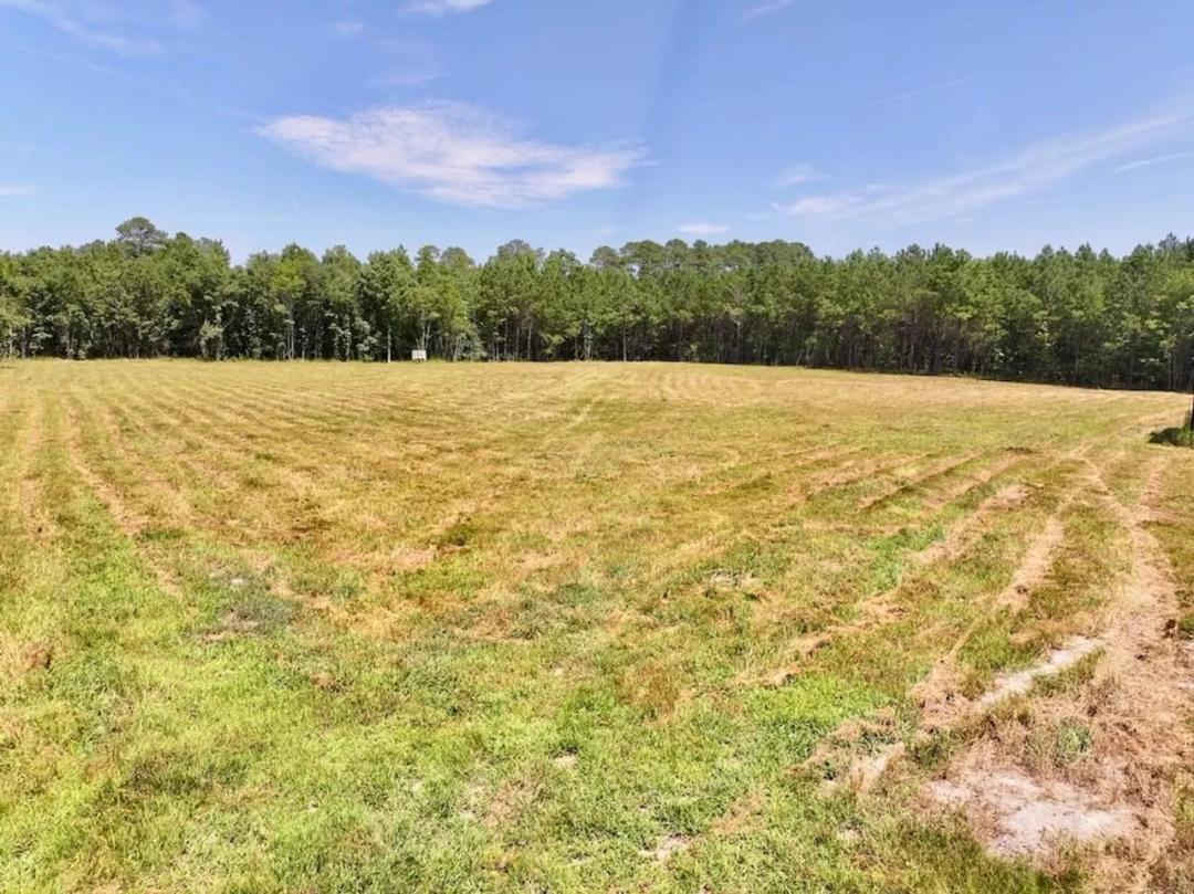 UNDER CONTRACT!!  17.45 acres of Hunting & Timberland For Sale in Edgecombe County NC!