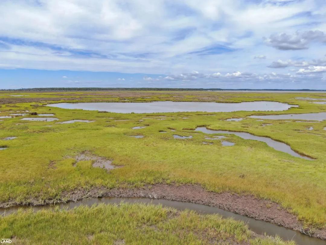 Lawson's Marsh Recreation
