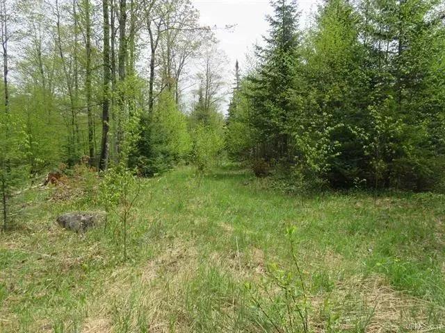 Michigan Wooded 32 +/- Acres