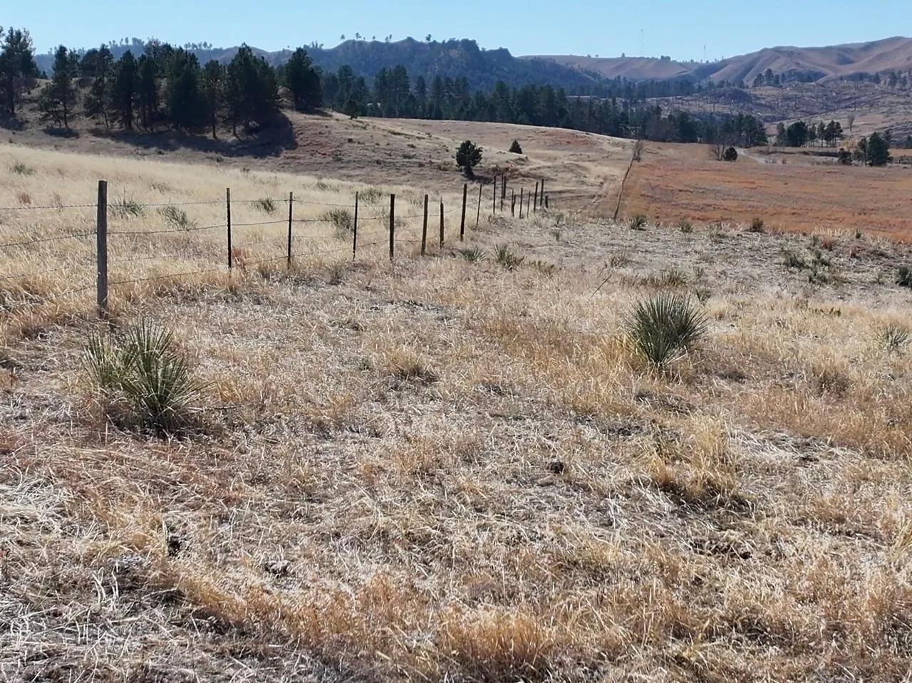 28554348-37