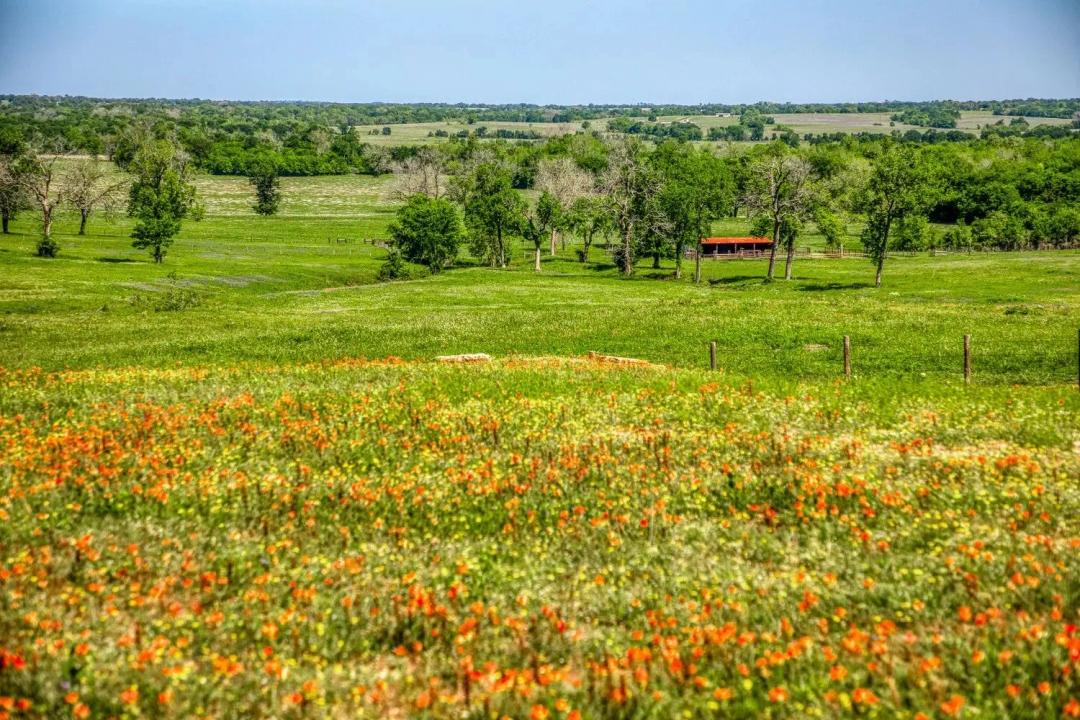 176 Acres at 2945 Fm 3090 Rd