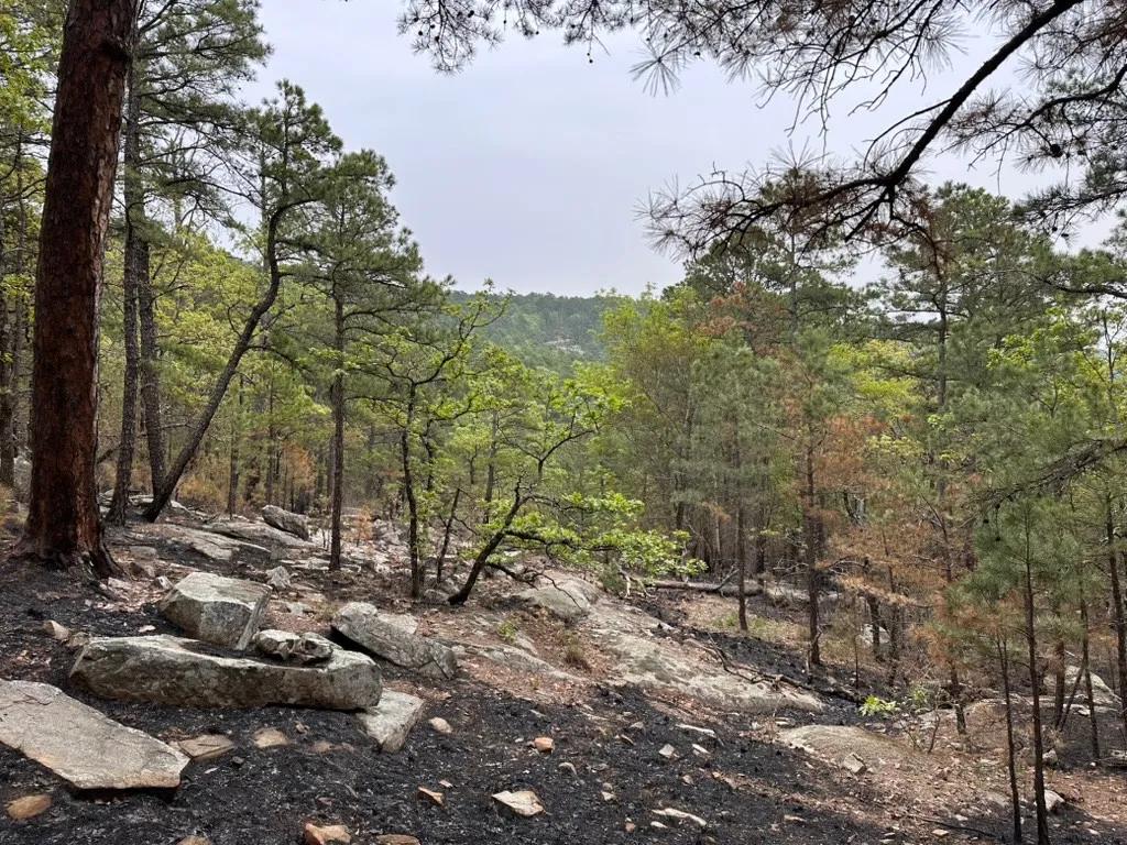 5.00 Acres at 326-K Black Oak Trail