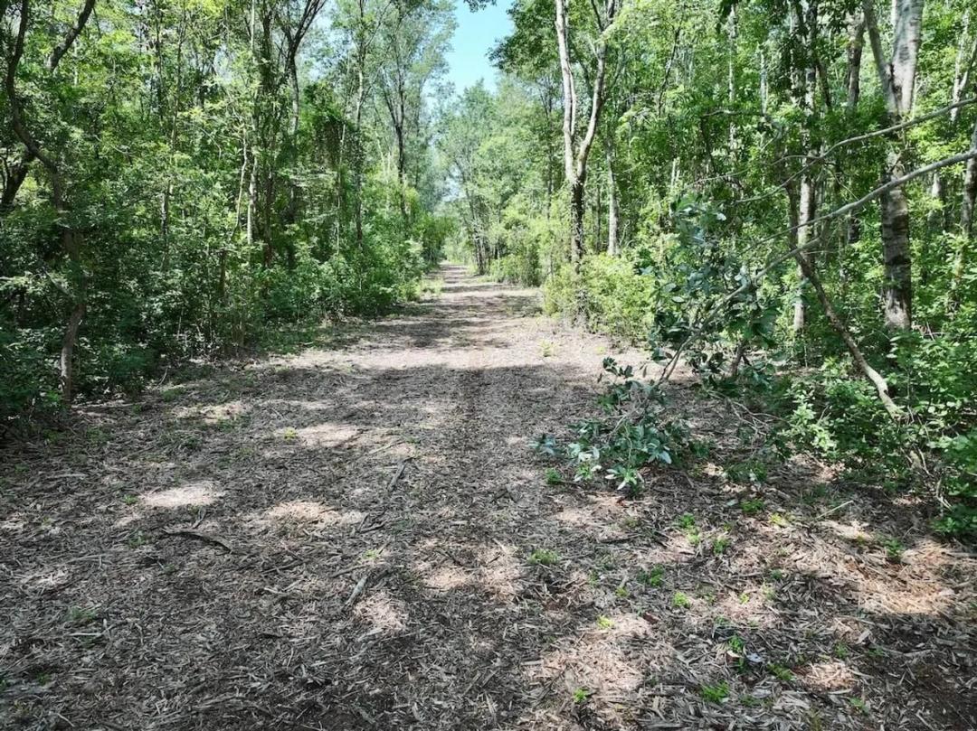 34.31 acres of Recreational Timberland For Sale in Craven County NC!