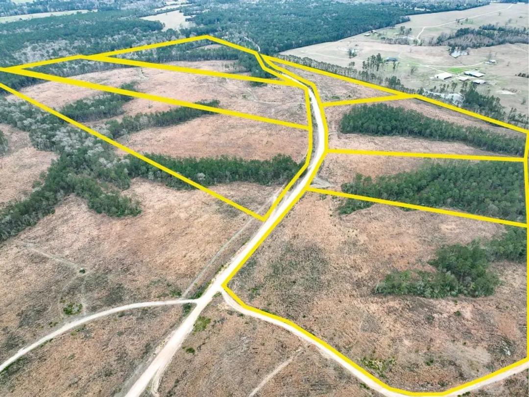 41 Acres | Paces Creek | T-1B | 3162