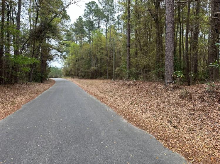1.12 acres - Georgetown, SC near Black River
