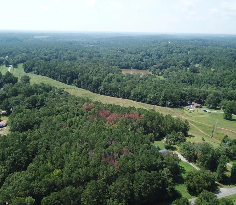 ARNCO ROAD SOUTH