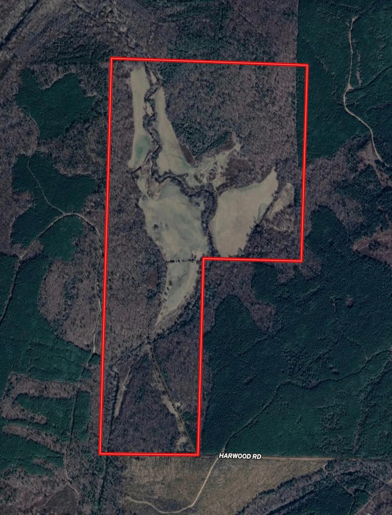 28704332-53