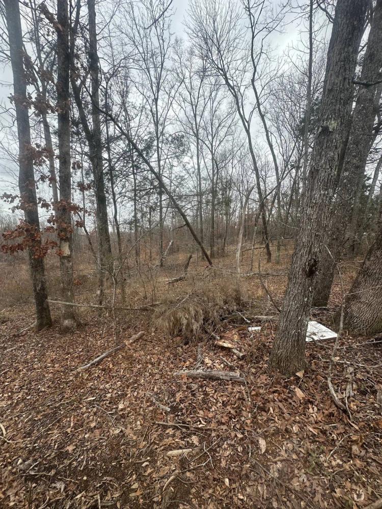 5 Acres in Adamsville, TN