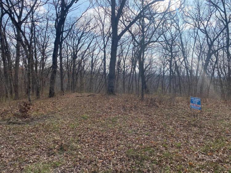 Wooded Lot close to utilities includes a boat slip