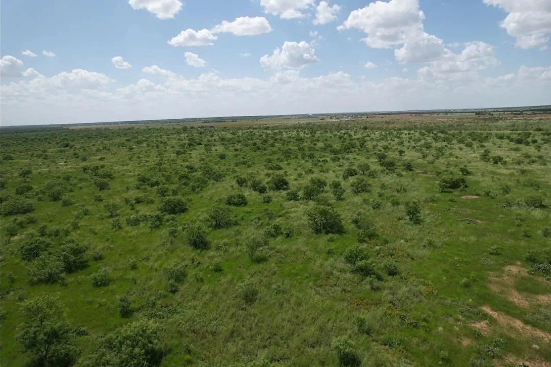 Under Contract - 10.01 Acres, TBD CR 483, Hawley (Tract 12)