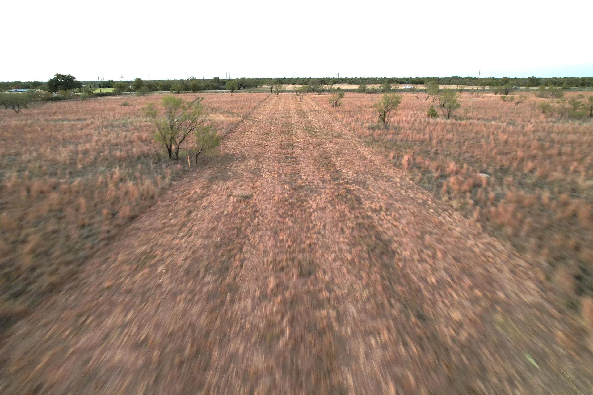 28767877-10