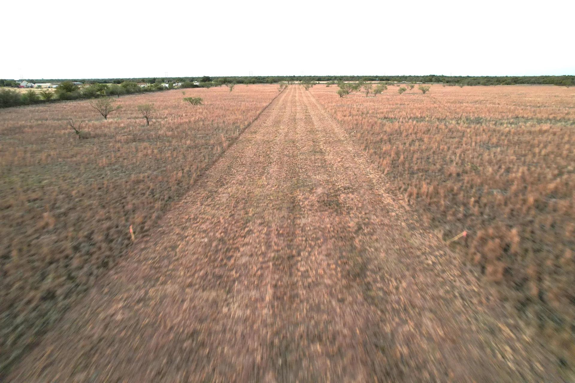 28767877-7