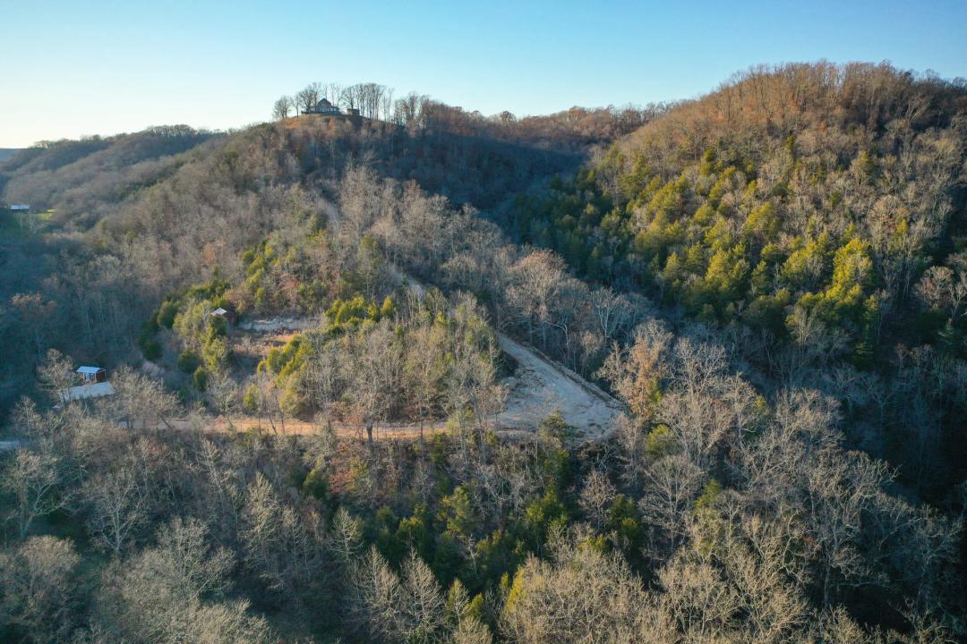 Secluded Timber Views