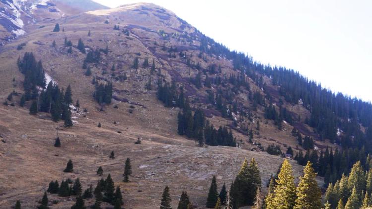 Treasure Mountain patented mining claim above historic Animas Forks * Own the land and minerals