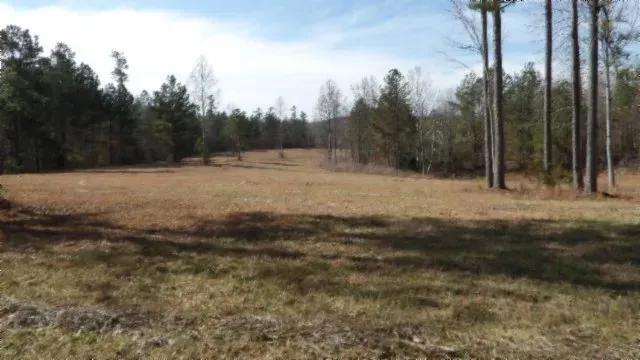 28.30 AC Surveyed W/ UTILITES INSTALLED / POND / NO RESTRICTIONS / 18 AC CLEARED TO BUILD